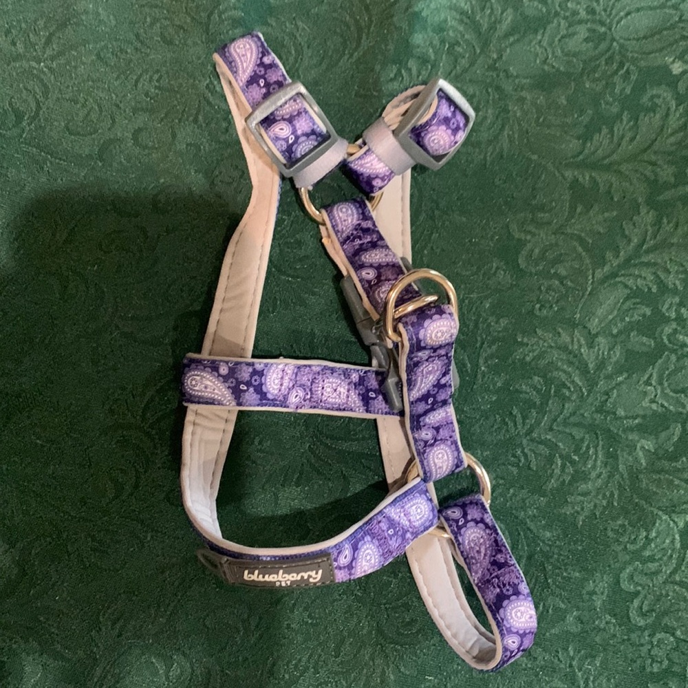 Violet Paisley Print Padded Harness